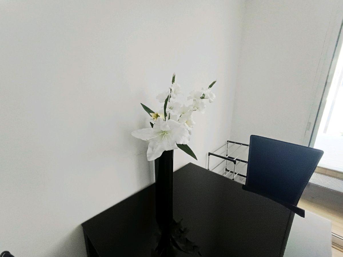 ให้เช่าคอนโดพระราม 8 สามเสน ราชวัตร : 🍒ให้เช่าคอนโด ชาโตว์ อินทาวน์ พระราม 8 ใกล้สะพานพระราม 8 