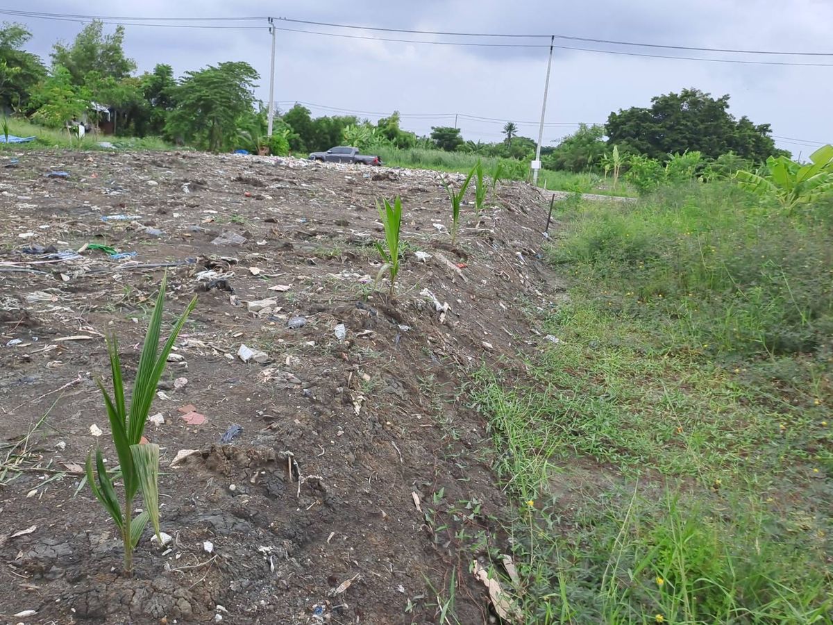 ขายที่ดินลาดกระบัง สุวรรณภูมิ : ที่ดินเปล่า 266 ตร.ว. ซอยพัฒนาการ 97 / (ขาย), Land 266 sq.w. Soi Phatthanakan 97 / (SALE) FON048