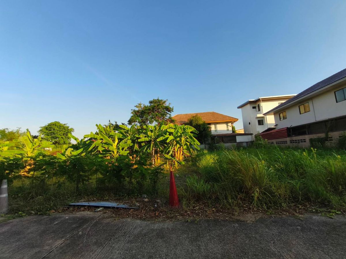 For SaleLandPinklao, Charansanitwong : Land for sale 90 sq.m. Near Kanchanaphisek Road Near Phutthamonthon 1 Road, near Taling Chan Railway Road