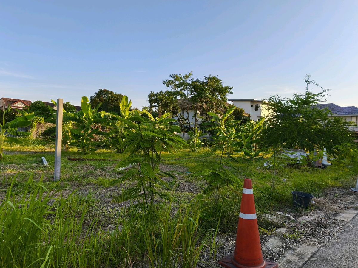 For SaleLandPinklao, Charansanitwong : Land for sale 93 sq.w., Soi Suan Phak 50, near the expressway Near Kanchanaphisek Road Near Phutthamonthon 1 Road, near Taling Chan Railway Road