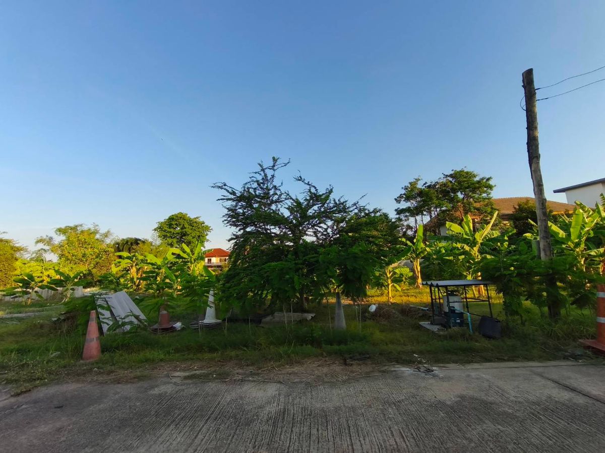 For SaleLandPinklao, Charansanitwong : Land for sale 91 sq.w., Soi Suan Phak 50, near the expressway Near Kanchanaphisek Road Near Phutthamonthon 1 Road, near Taling Chan Railway Road