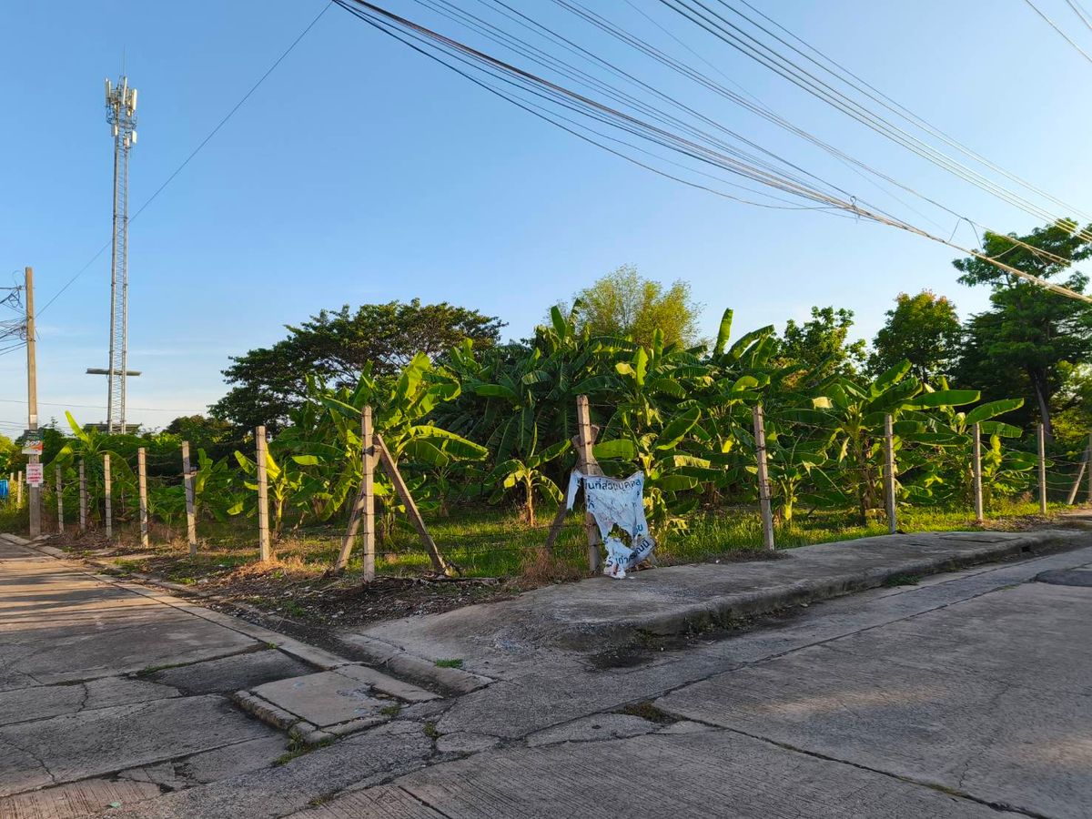 For SaleLandPinklao, Charansanitwong : Land for sale 264 sq.w., Soi Suan Phak 50, near the expressway Near Kanchanaphisek Road Near Phutthamonthon 1 Road, near Taling Chan Railway Road