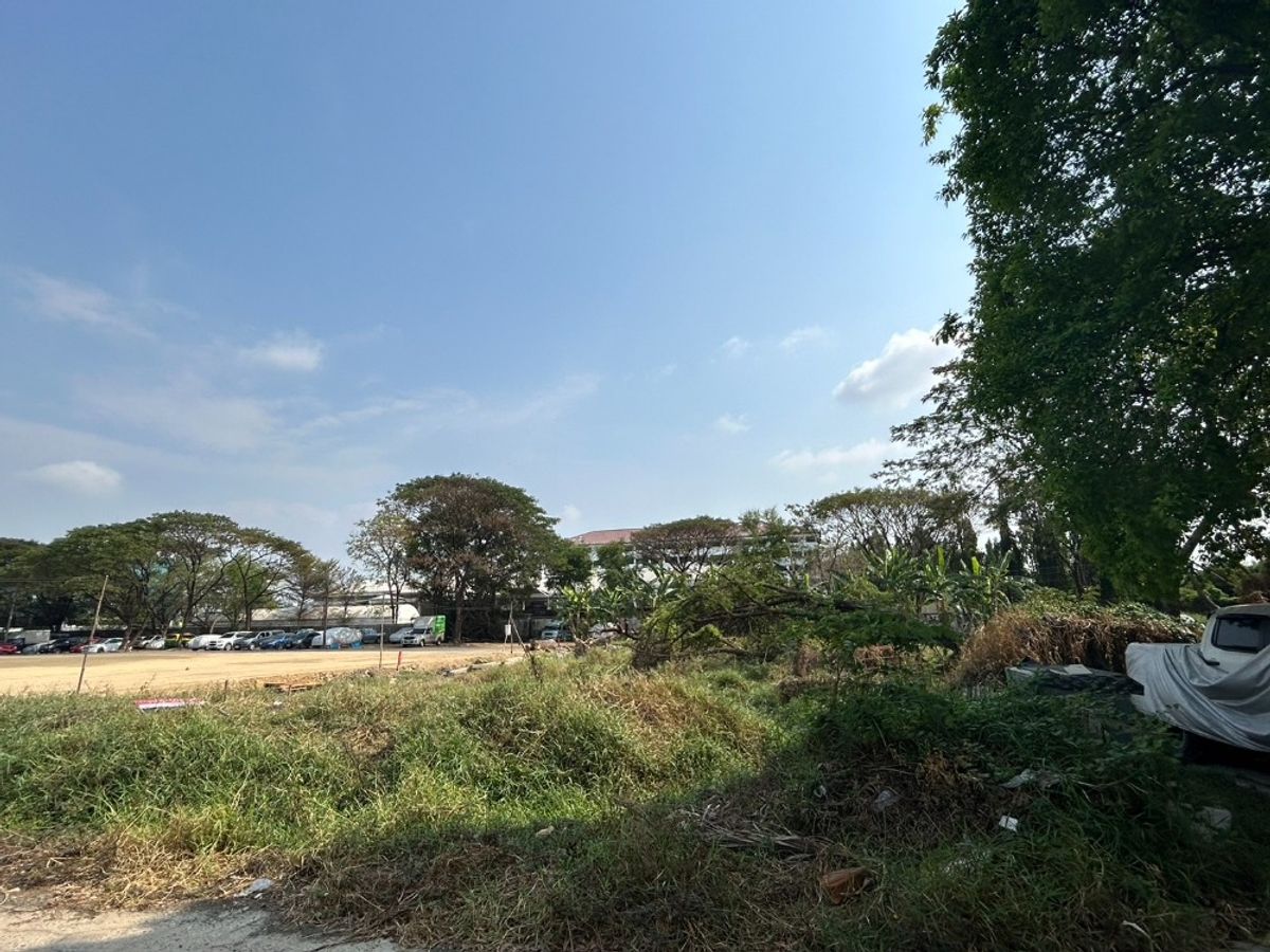 ขายที่ดินอ่อนนุช อุดมสุข : ที่ดินเปล่า 332 ตร.ว. ซอยอ่อนนุช 55/1 / (ขาย), Vacant Land 332 sq.w. Soi On Nut 55/1 / (FOR SALE) FON041