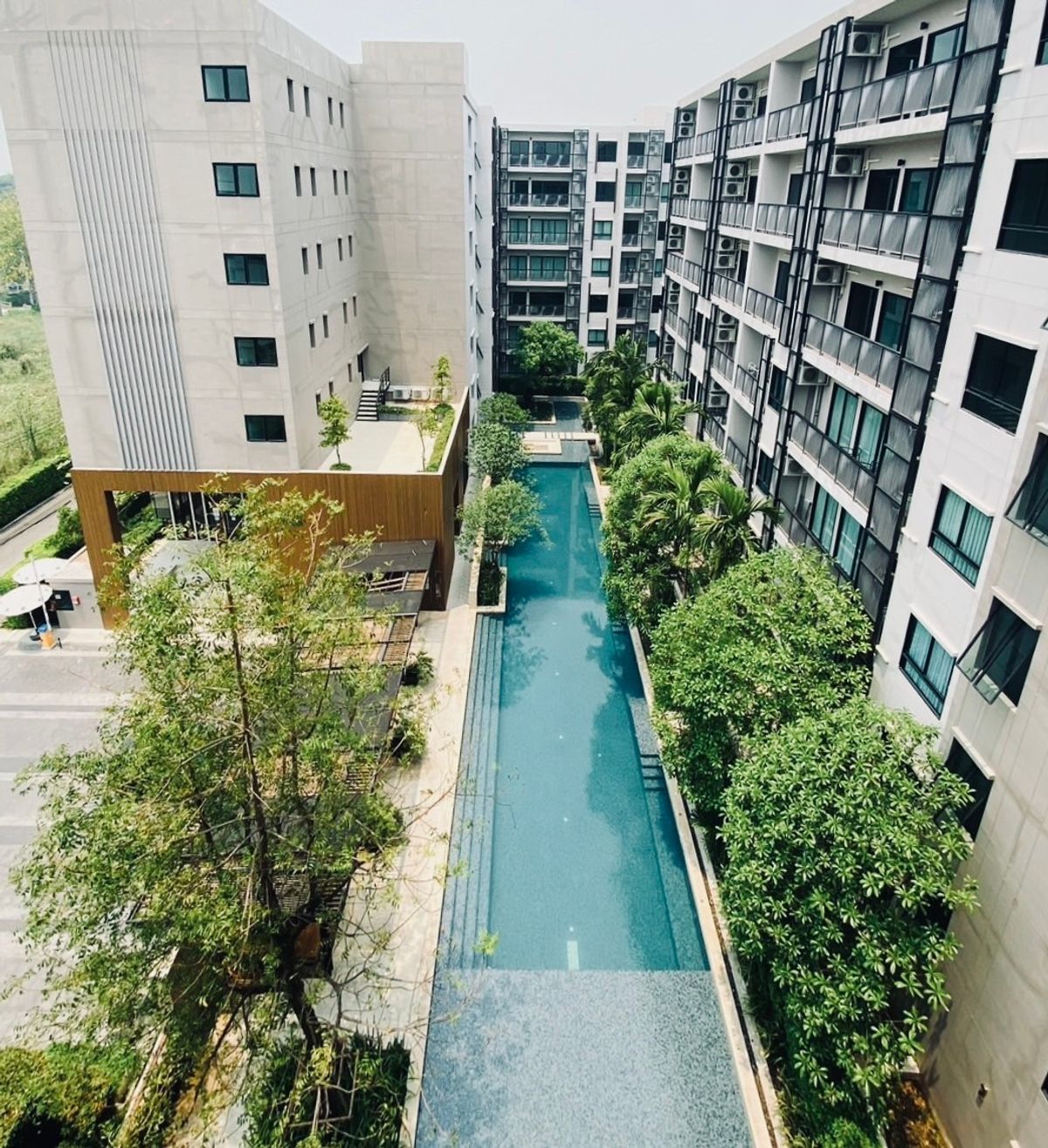 คอนโดเชียงใหม่ : 出租 – 清迈 Ruamchok   Rent – The Issara Condo Ruamchok ให้เช่า ดิอิสระ คอนโด รวมโชค