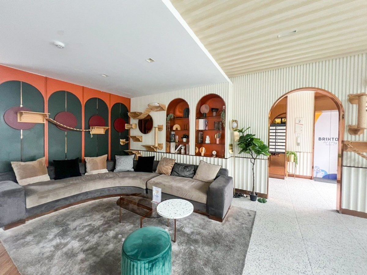 For SaleCondoBangna, Bearing, Lasalle : Urgent sale 📍 BRIXTON Pet & Play Sukhumvit 107 📍Fully furnished and electrical appliances, near BTS Bearing