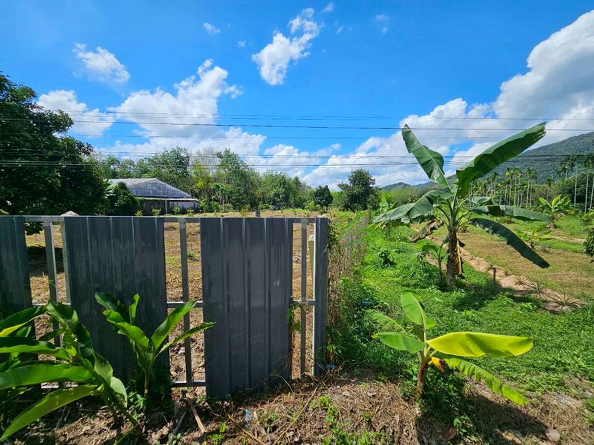 For SaleLandNakhon Si Thammarat : Land for sale 3-3-45 rai. Mountain views with orchards. The way to Kiriwong Thom Village.