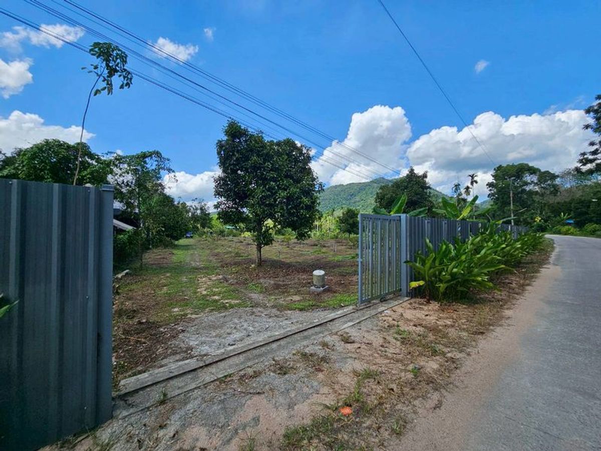For SaleLandNakhon Si Thammarat : Land for sale 3-3-45 rai. Mountain views with orchards. The way to Kiriwong Thom Village.
