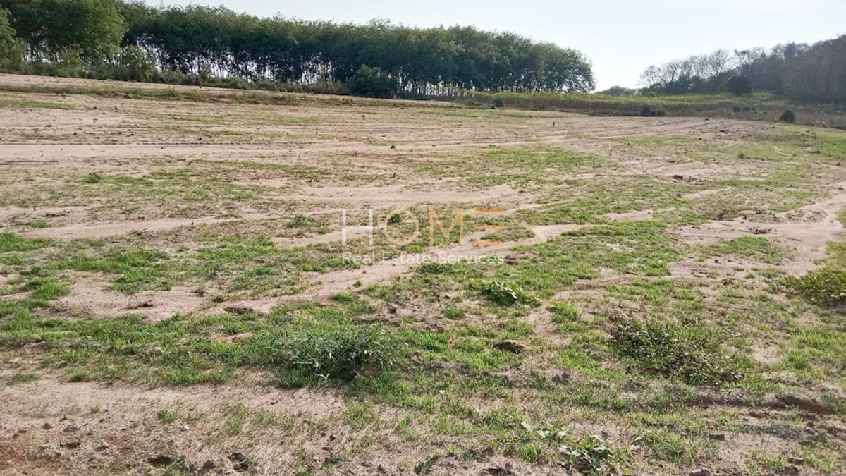ขายที่ดินศรีราชา แหลมฉบัง บ้านบึง : ที่ดิน 36 ไร่ บ่อวิน ใกล้ถนน 331 / (ขาย), Land 36 Rai Bo Win Near 331 Road / (FOR SALE) NEWC507