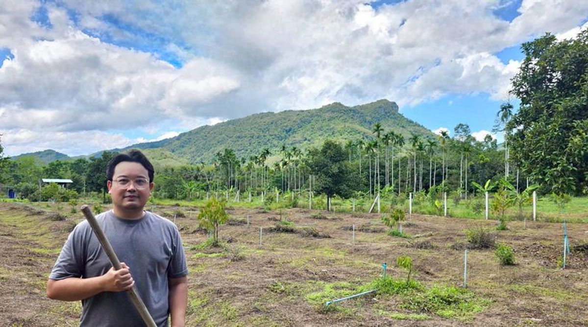 For SaleLandNakhon Si Thammarat : Land for sale 3-3-45 rai. Mountain views with orchards. The way to Kiriwong Thom Village.