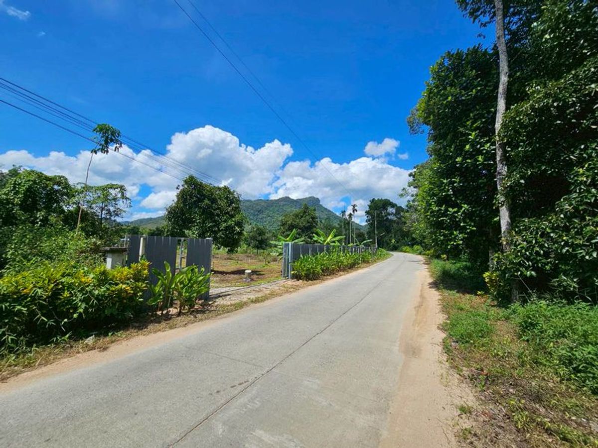 For SaleLandNakhon Si Thammarat : Land for sale 3-3-45 rai. Mountain views with orchards. The way to Kiriwong Thom Village.