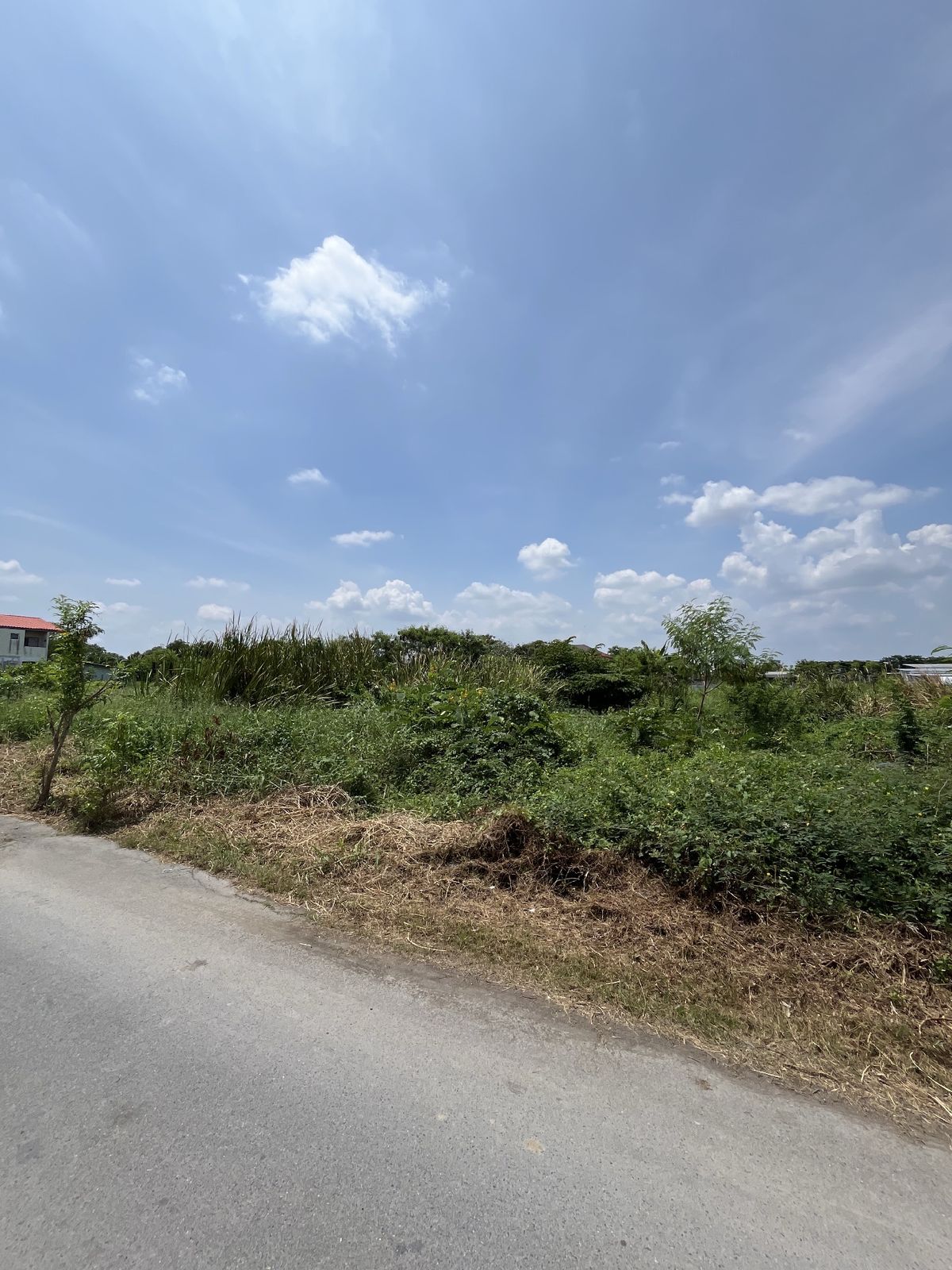 For SaleLandNawamin, Ramindra : Land for sale. Sanitation 5, Soi 51