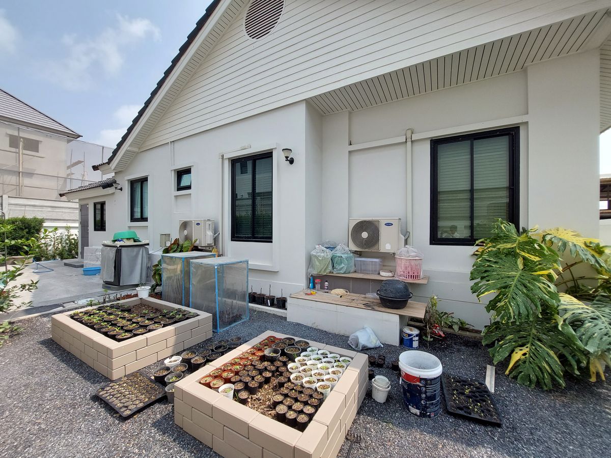 For SaleHouseBangna, Bearing, Lasalle : Large land plot of 200 square wah. With a newly renovated single-storey house, Near Mega Bangna