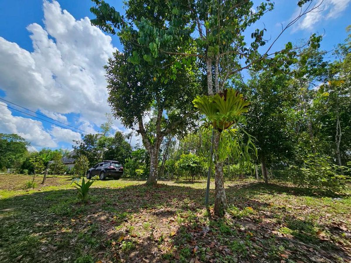 For SaleLandNakhon Si Thammarat : Land for sale 3-3-45 rai. Mountain views with orchards. The way to Kiriwong Thom Village.