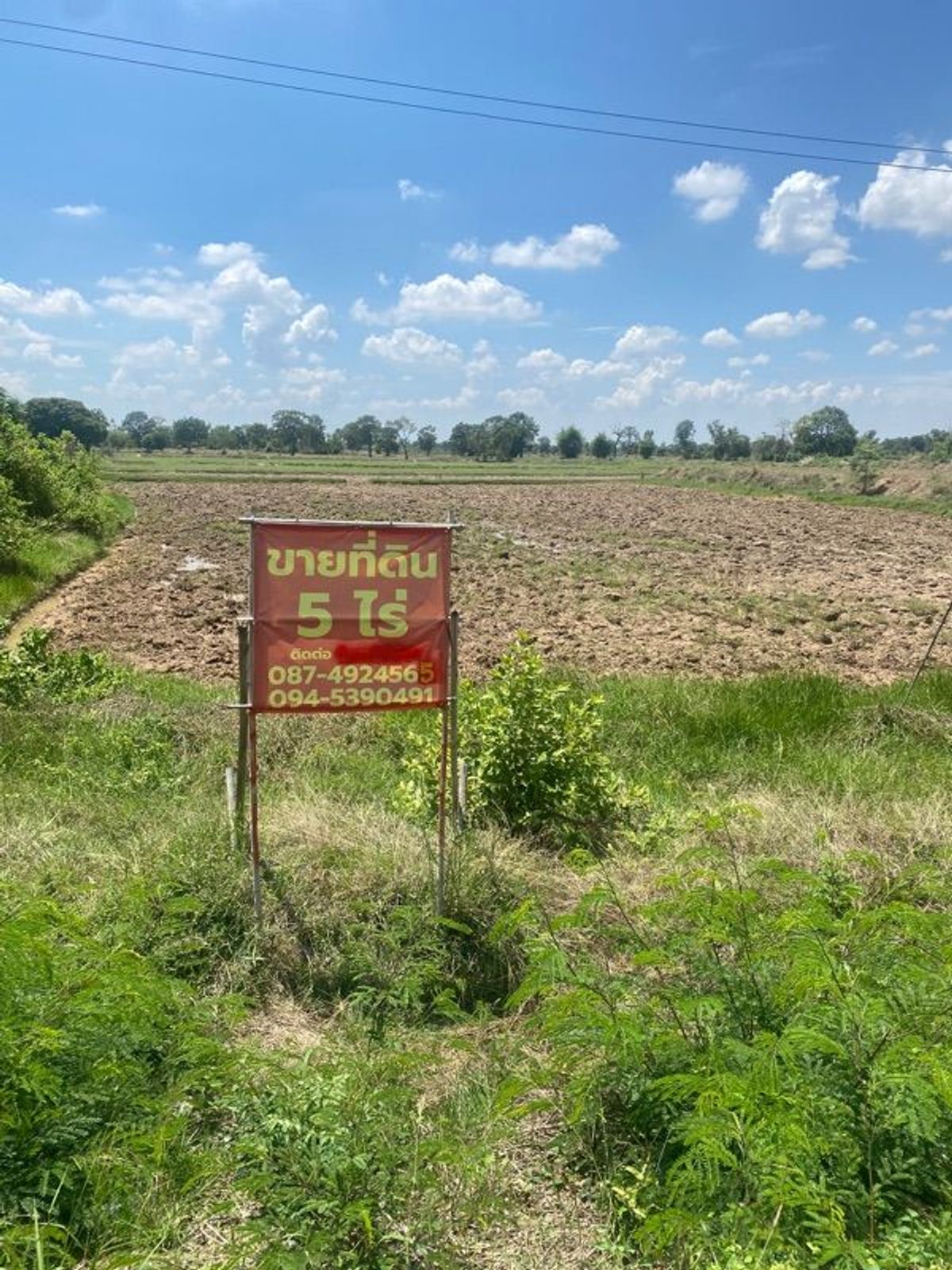For SaleLandMaha Sarakham : Land for sale, golden location on the main road, Phayakkhaphum Phisai District Maha Sarakham Province