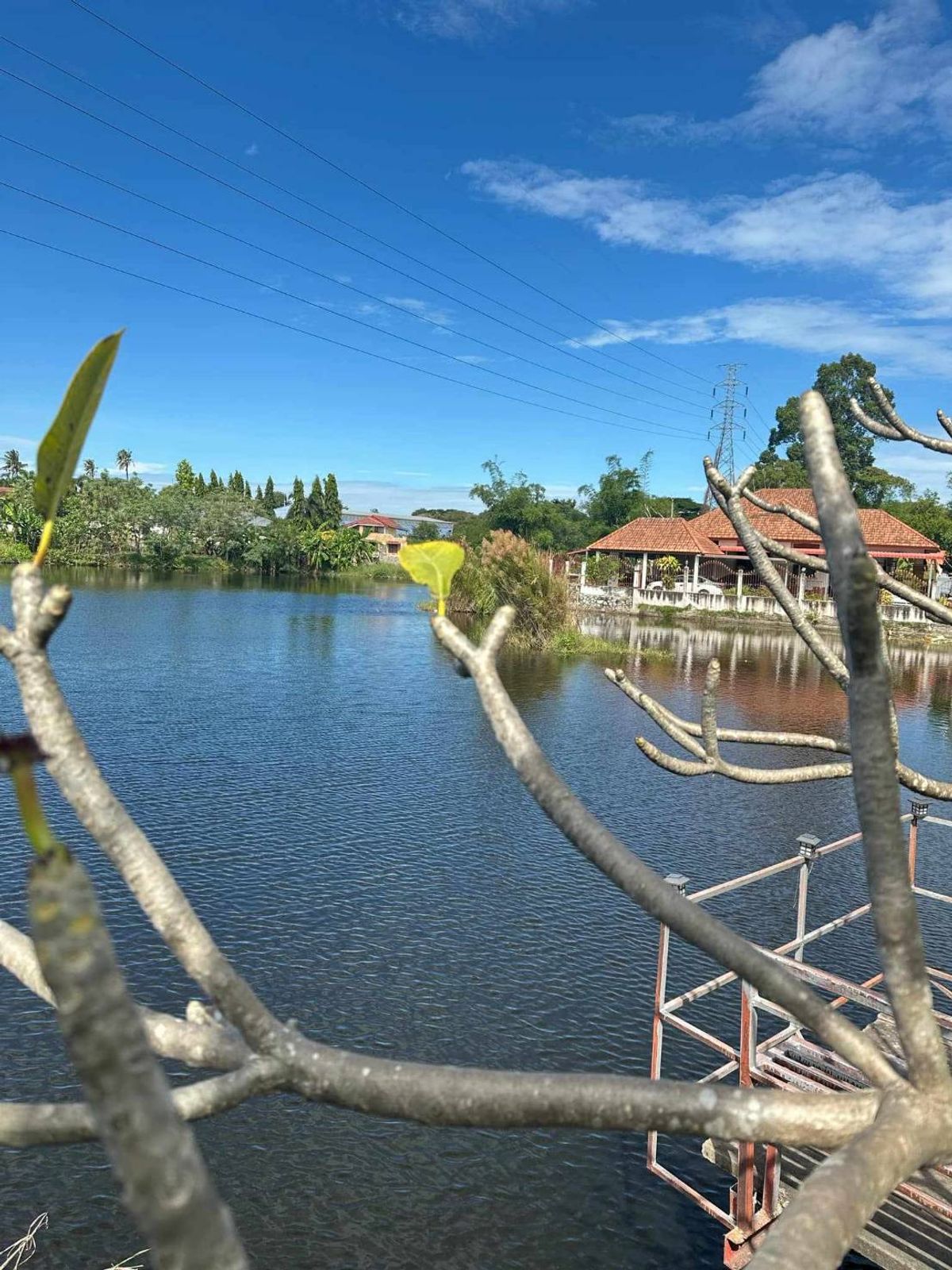 ให้เช่าบ้านพัทยา บางแสน ชลบุรี สัตหีบ : ให้เช่าถูกมาก!! บ้านเดี่ยวติดริมแม่น้ำ วิวสวย ม.ชัยพฤษ 2 ทำเลทอง ใกล้หาดจอมเทียน ตลาดเอ็มมาเก็ต โลตัสพัทยา