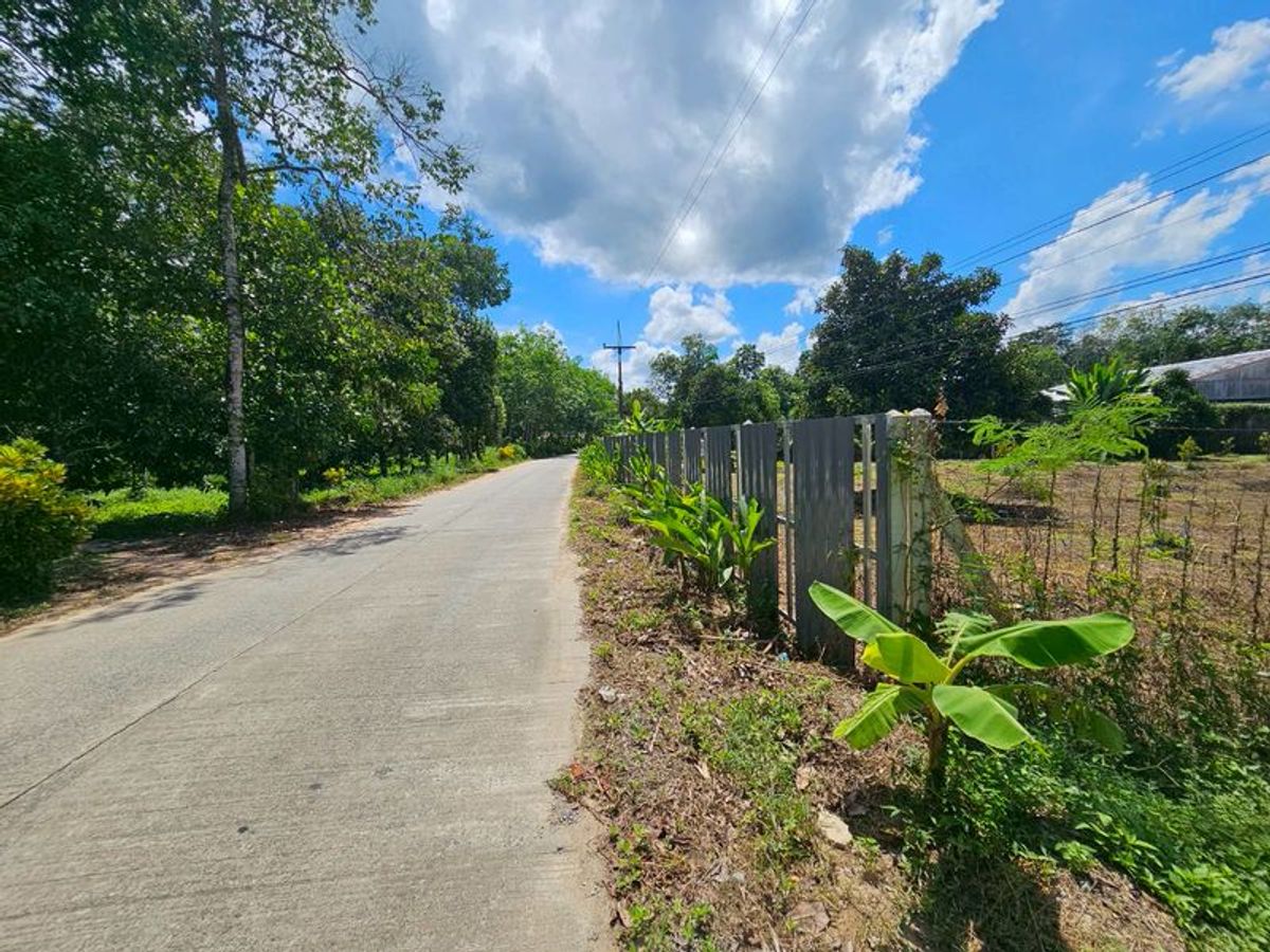 For SaleLandNakhon Si Thammarat : Land for sale 3-3-45 rai. Mountain views with orchards. The way to Kiriwong Thom Village.