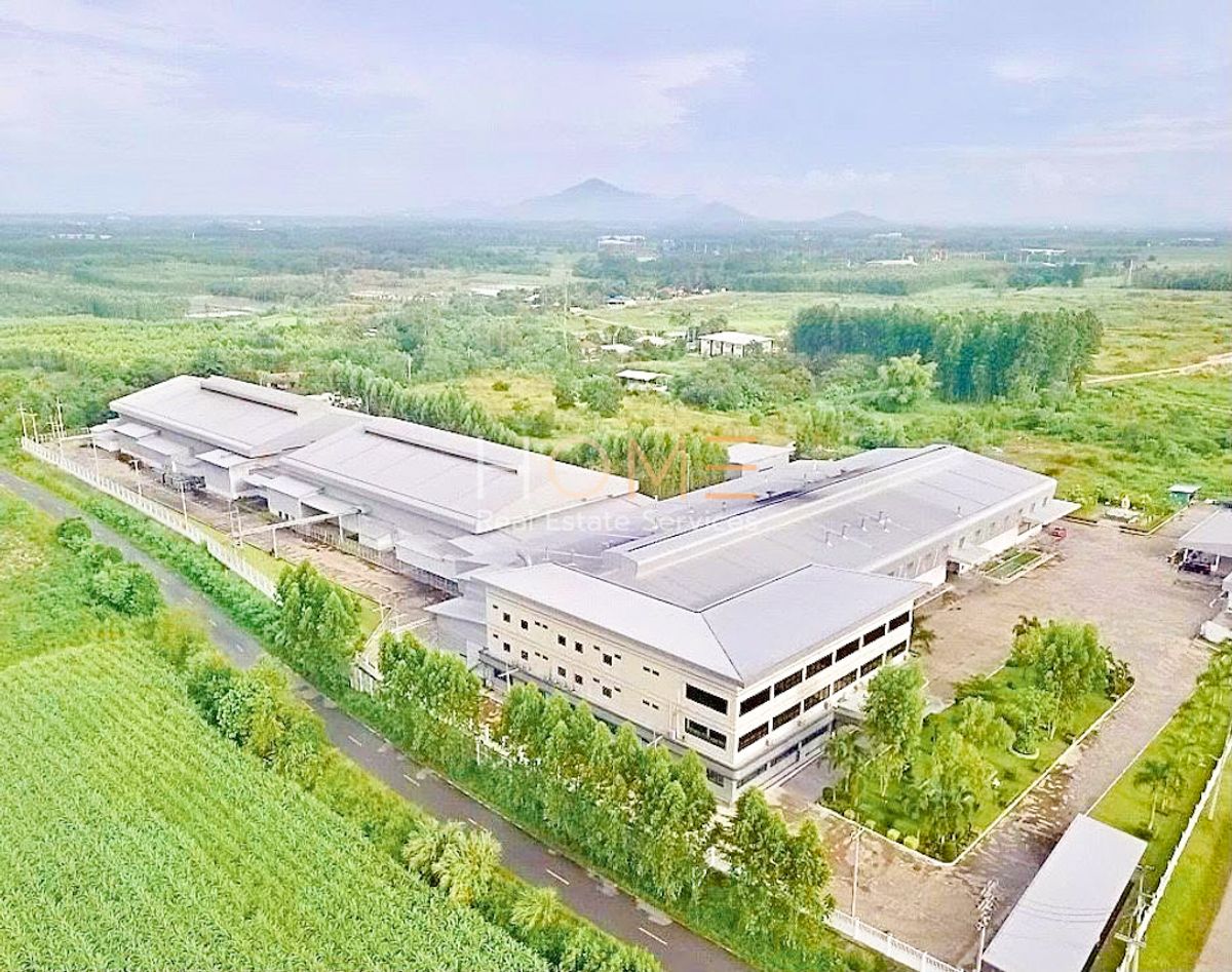 ขายโรงงานพัทยา บางแสน ชลบุรี สัตหีบ : ที่ดินพร้อมโรงงาน 58 ไร่ บ่อทอง / (ขาย), Land with Factory 58 Rai Bo Thong / (FOR SALE) NEWC531