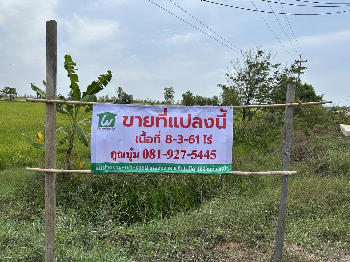 For SaleLandKalasin : Land for sale on the road 214 (Kalasin-Roi Et), Harbor Subdistrict, Kamalasai District, Kalasin Province