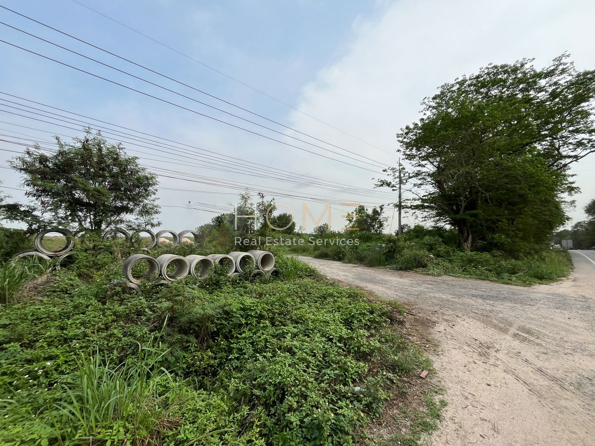 ขายที่ดินระยอง : ✨ที่ดินศักยภาพ 25 ไร่ พนานิคม✨ (FOR SALE) NUT2021