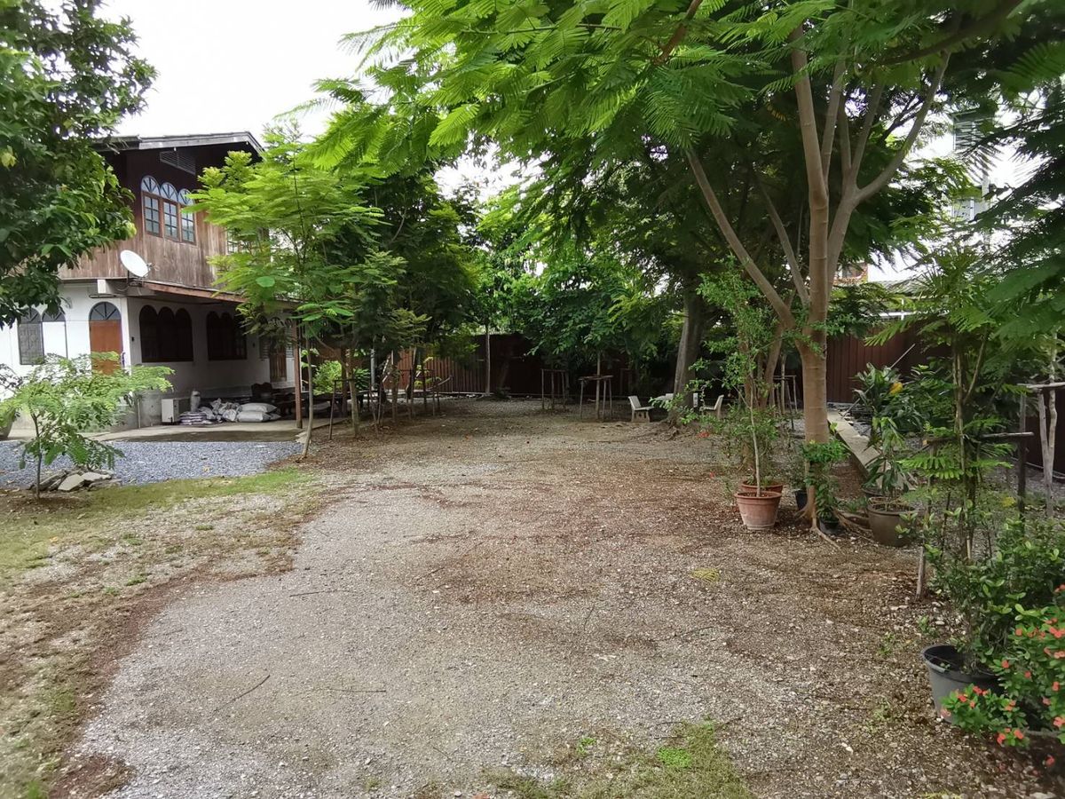 ให้เช่าที่ดินบางแค เพชรเกษม : ที่ดินให้เช่า  250 ตารางวาติดคลองบางจาก 