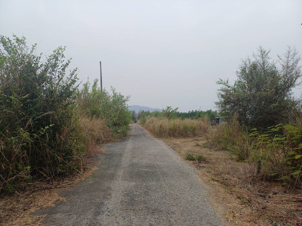 ขายที่ดินศรีราชา แหลมฉบัง บ้านบึง : ขายที่ดินจัดสรร ทำเลดี  ตำบลหนองอิรุณ อำเภอบ้านบึง จังหวัดชลบุรี 