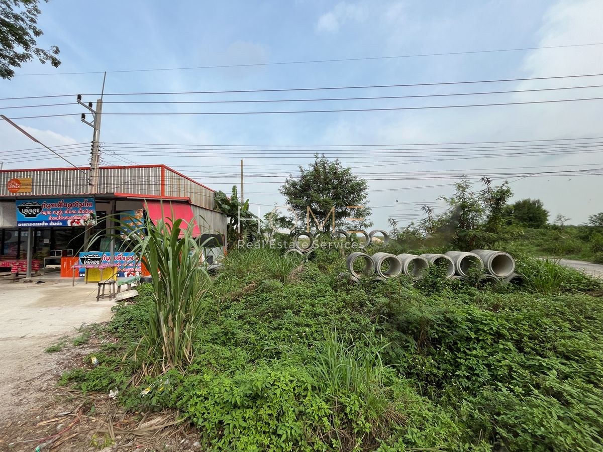 ขายที่ดินระยอง : ✨ที่ดินศักยภาพ 25 ไร่ พนานิคม✨ (FOR SALE) NUT2021