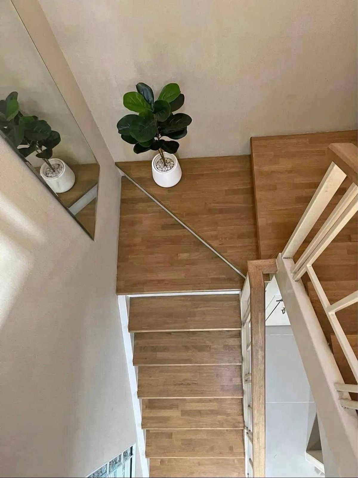 ให้เช่าทาวน์โฮมสมุทรปราการ สำโรง : 💥ForRent💥3Bed • The Color Leisure Village 🏡 Near Mega Bangna‼️ Ready to move in ‼️  Fully Furnished ✨