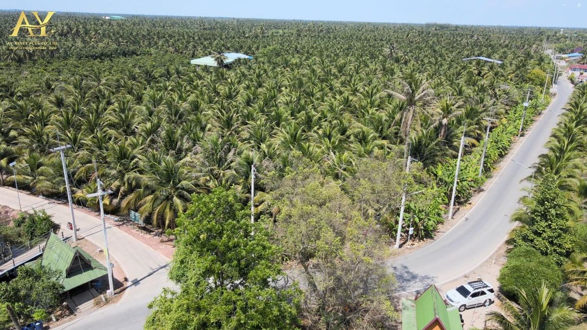 For SaleLandRatchaburi : 🚩 Damnoen Saduak Land for sale.