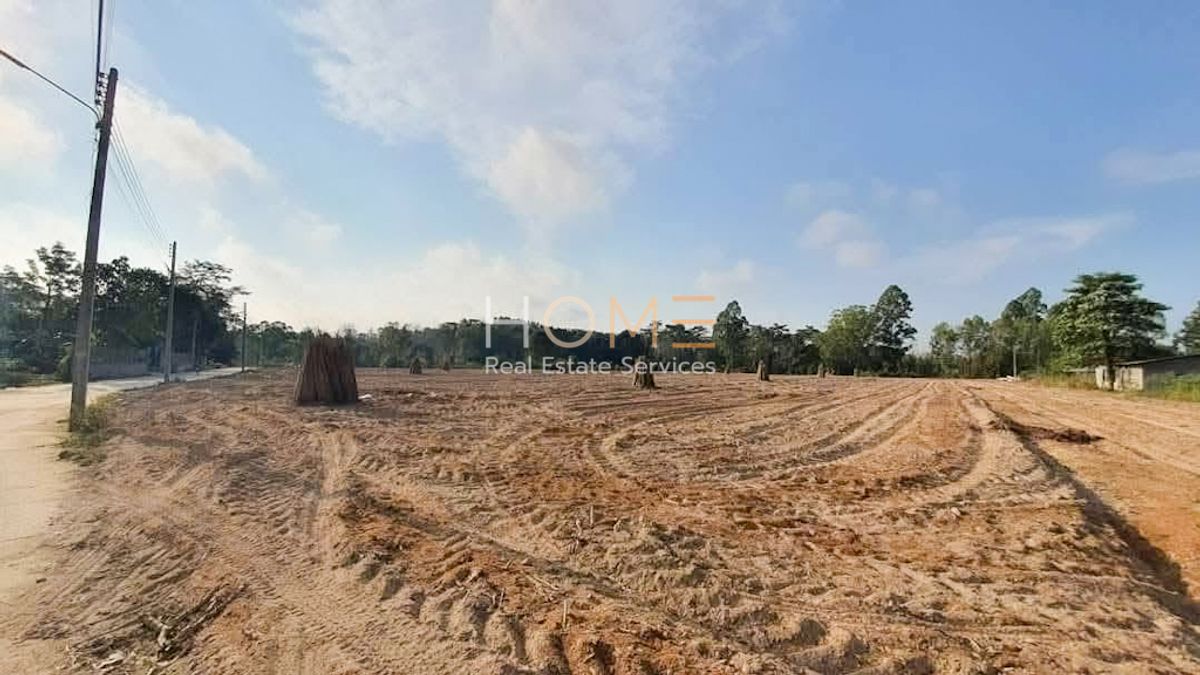 For SaleLandPattaya, Bangsaen, Chonburi : 10 rai of land, Pong Pattaya, near road 36 / (sell), Land 10 Rai Pong Pattaya Near Road 36 / (For Sale) Newc533