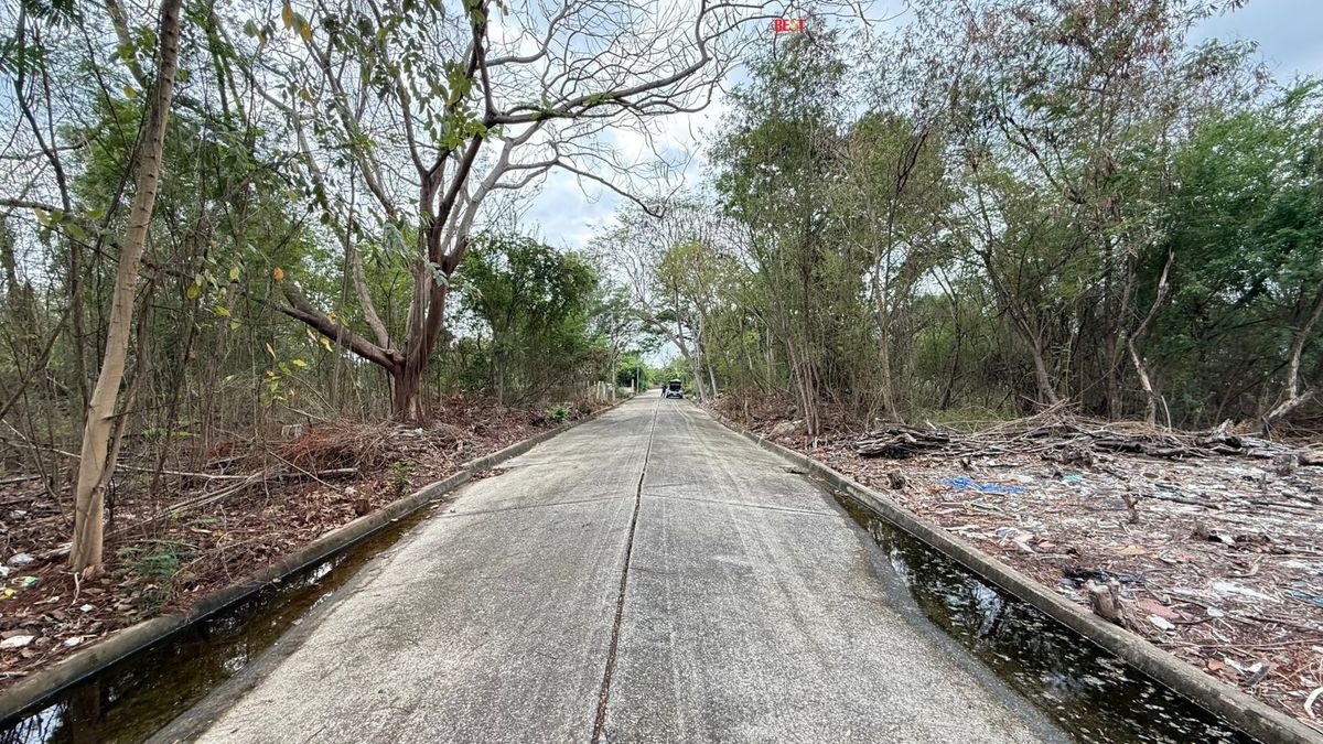ขายที่ดินปทุมธานี รังสิต ธรรมศาสตร์ : ขายที่ดินเปล่า แปลงริม หมู่บ้านสีวลี 1 รังสิต-คลอง 2 (Land & Houses) 📍 ถนนรังสิต-นครนายก ขายถูกที่สุดในโครงการ‼️ ราคาต่ำกว่าประเมินมาก