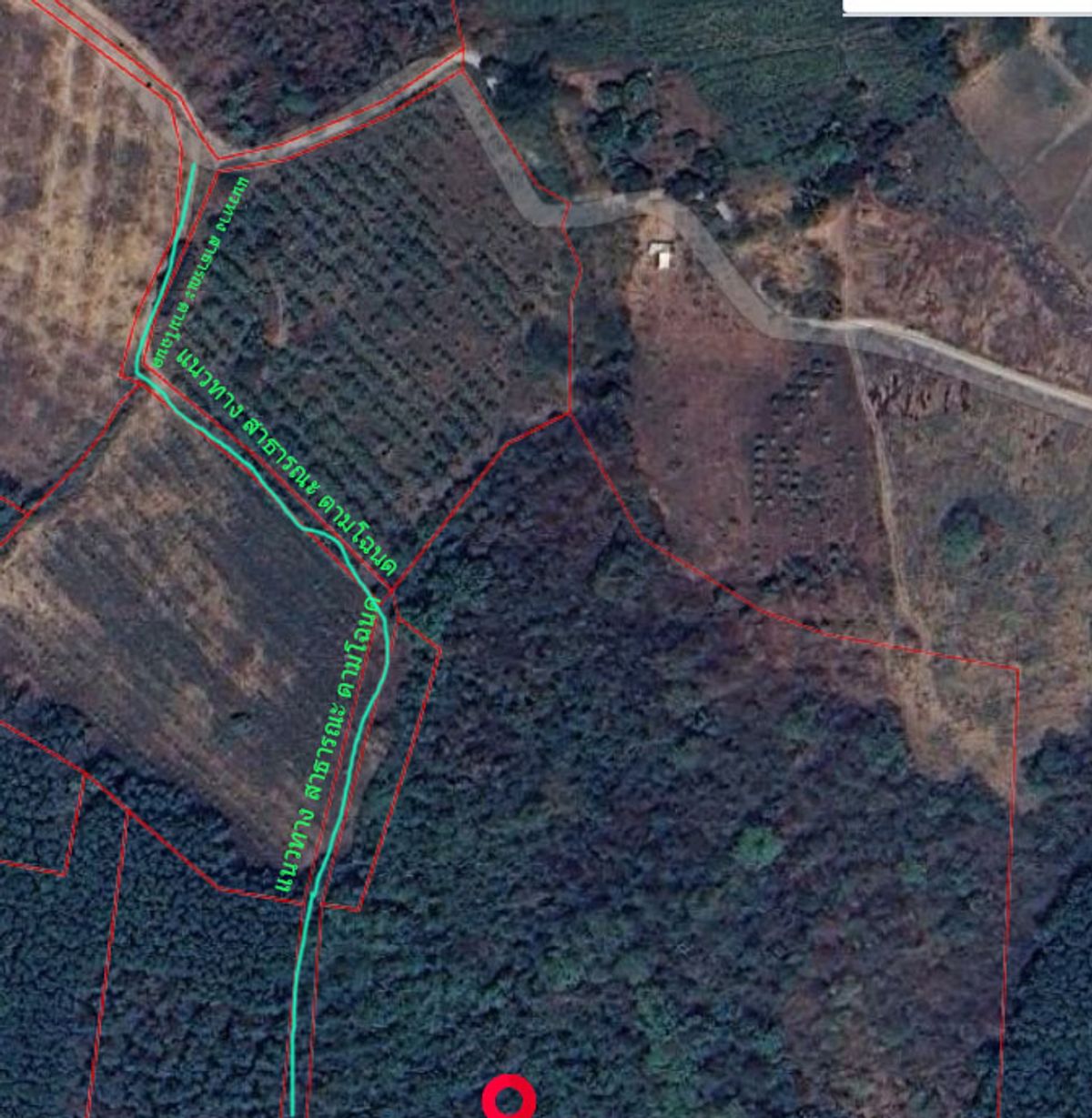 For SaleLandLoei : Land for sale in Na An Subdistrict, Muang District, Loei, 40 Rai, 2 ngan 40 sq. Wah. Land covering a hill