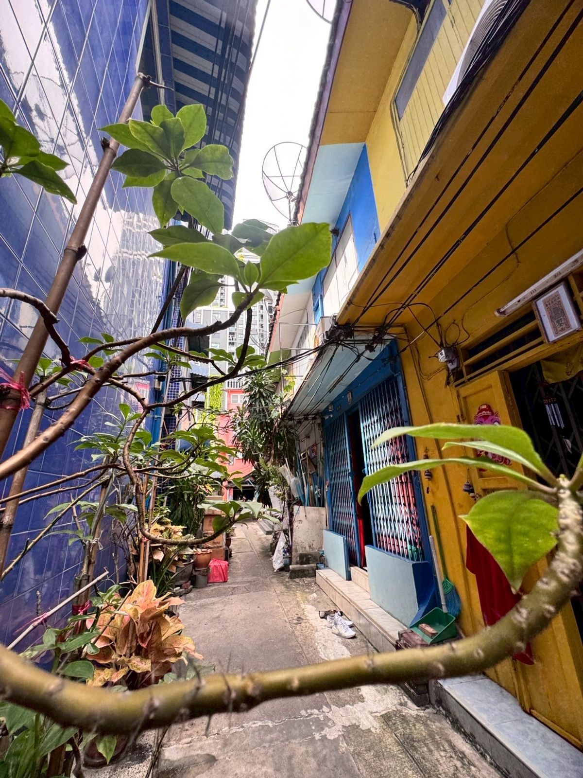 ขายอาคารพาณิชย์สีลม ศาลาแดง บางรัก : ขายตึกแถว ซอยจินดาถวิล แขวงมหาพฤฒาราม บางรัก ทำเลดีใกล้บรรทัดทอง (N.1598)