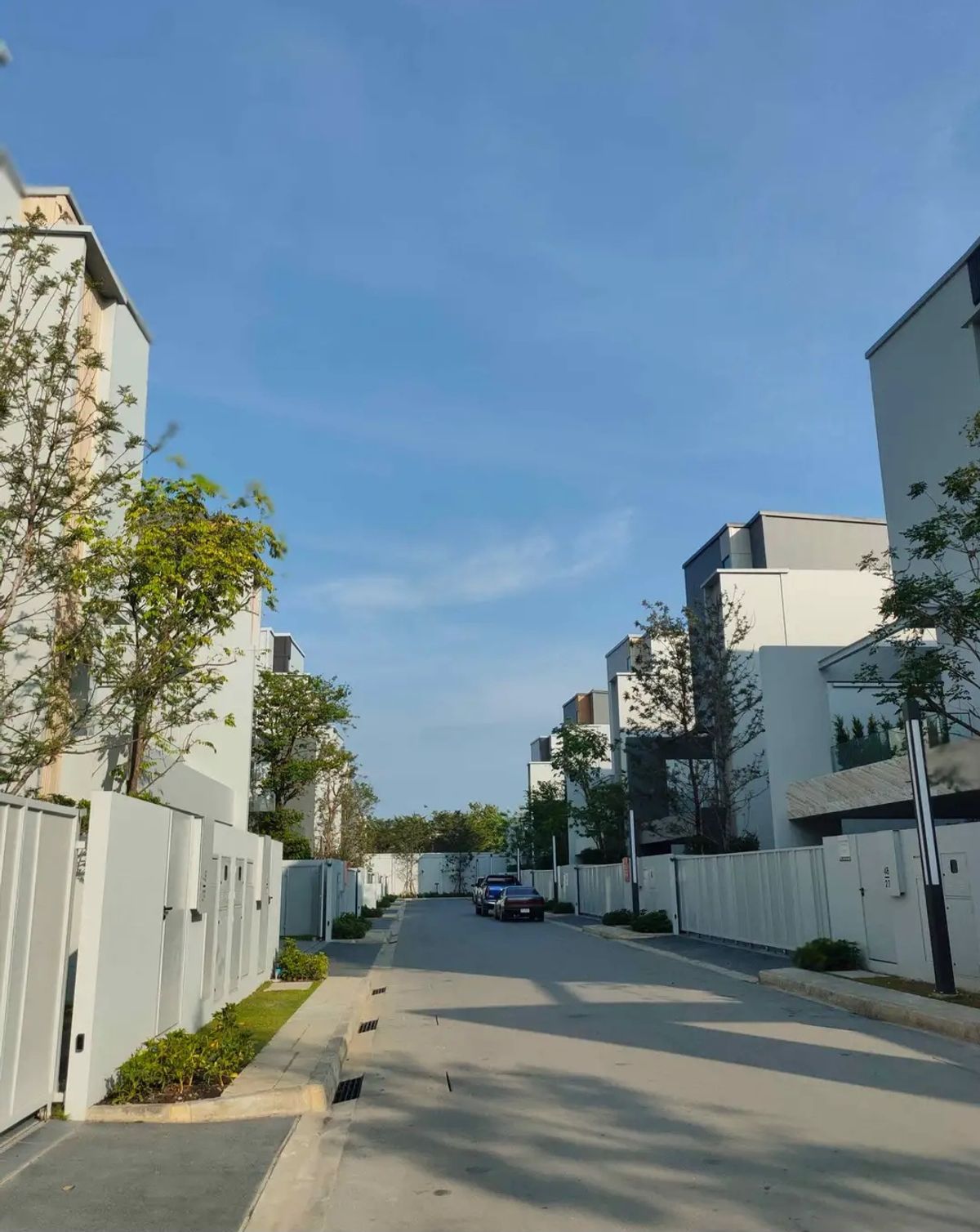 ให้เช่าบ้านพัฒนาการ ศรีนครินทร์ : 🔥🔥🔥Luxurious Family Home for Rent at Vive Krungthep KrithaCorner house with side garden and private elevator