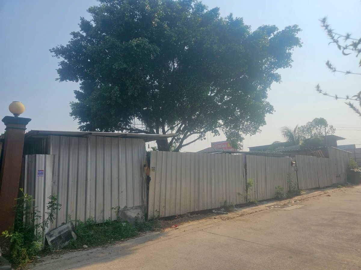 ขายที่ดินลาดกระบัง สุวรรณภูมิ : ขายที่ดิน 150 ตร.ว. ซ.พัฒนาชนบท 3 แยก 4 ลาดกระบัง ใกล้สนามบินสุวรรณภูมิ