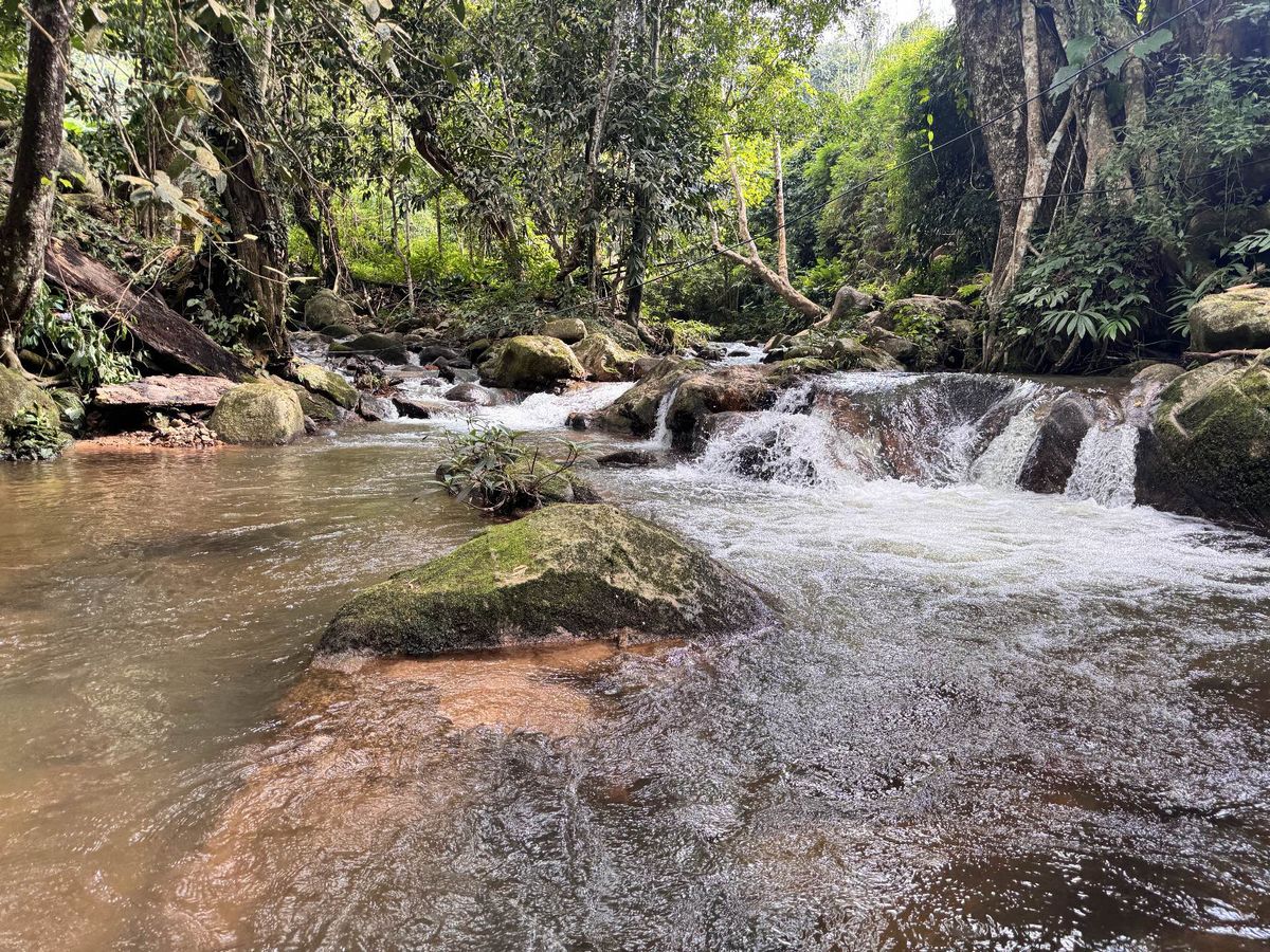 For SaleLandChiang Mai : Land next to the stream In the midst of nature Good weather all year Near tourist attractions, Thep Sadet Subdistrict, Doi Saket District