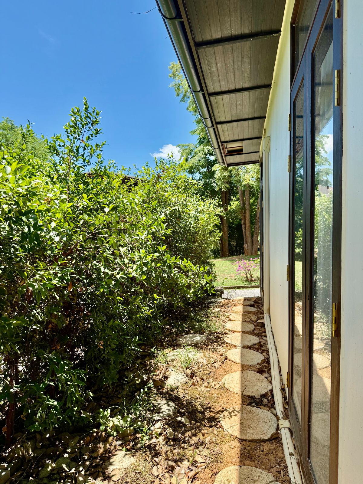 ขายบ้านปากช่อง เขาใหญ่ : ขายบ้านเดี่ยว พักตากอากาศ เขาใหญ่ เหวปลากั้ง  ขนาด 126 ตร.วา พื้นที่ใช้สอย 300 ตร.เมตร