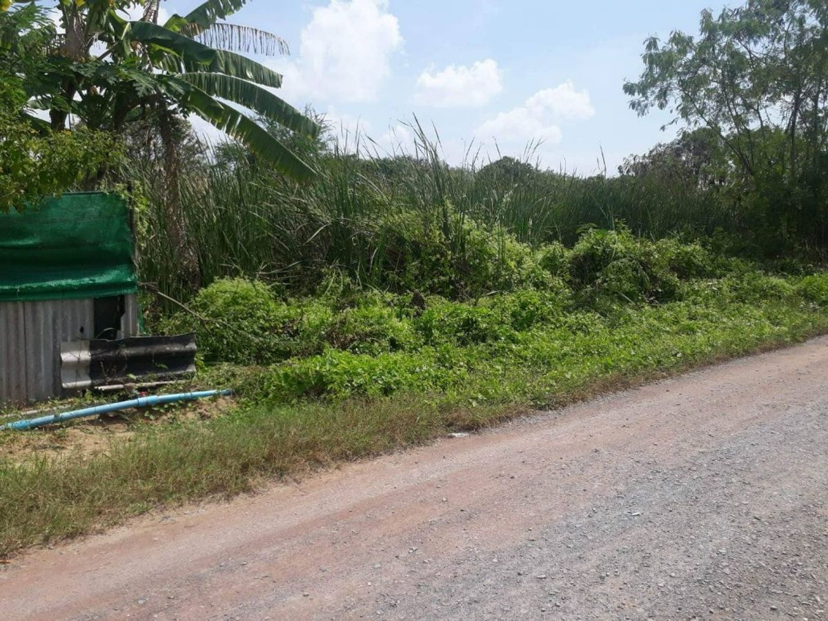 For SaleLandMahachai Samut Sakhon : Land for sale at 211 square wah, Ban Praew, cheap, suitable for sale 13,000/Wa (N.659)