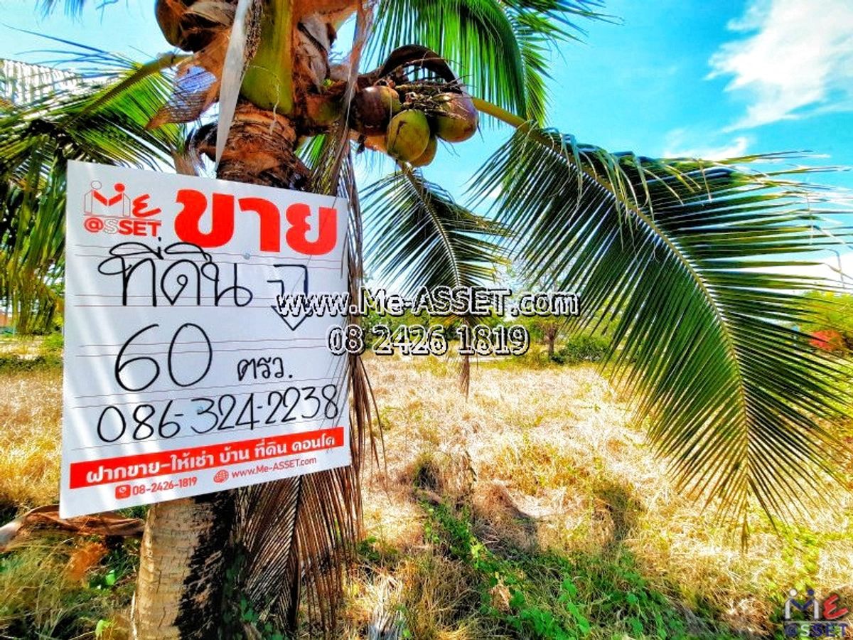 For SaleLandCha-am Phetchaburi : Land for sale, allocated a car, Puk Tian Cha-am, Cha-am, Khlong Khon, Tha Yang, Phetchaburi: Bang Chong Marina Project, Cha-am: 60 sq.w.: Code NN-91390 
 
