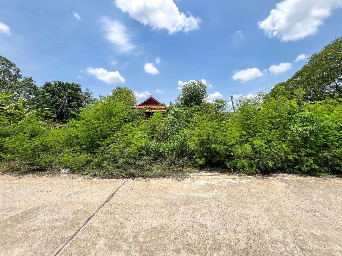 For SaleLandKaset Nawamin,Ladplakao : Empty land 339 sq.w. Soi Nawamin 85 / (Sell), Vacant Land 339 SQ.W. Soi Nawamin 85 (For Sale) / Pik080