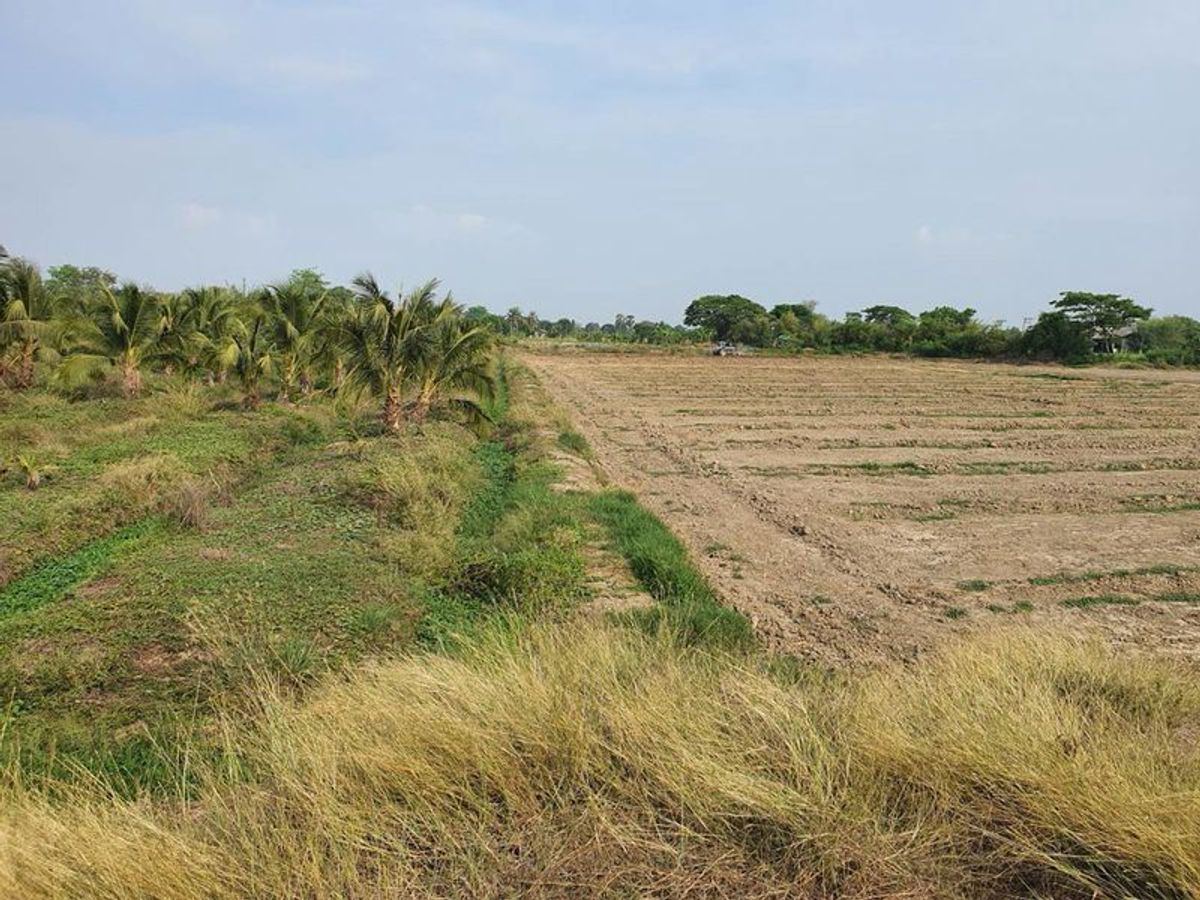 For SaleLandNakhon Pathom : Nakhon Pathom Land, Kamphaeng Saen 15 Rai, next to the beautiful wide front road