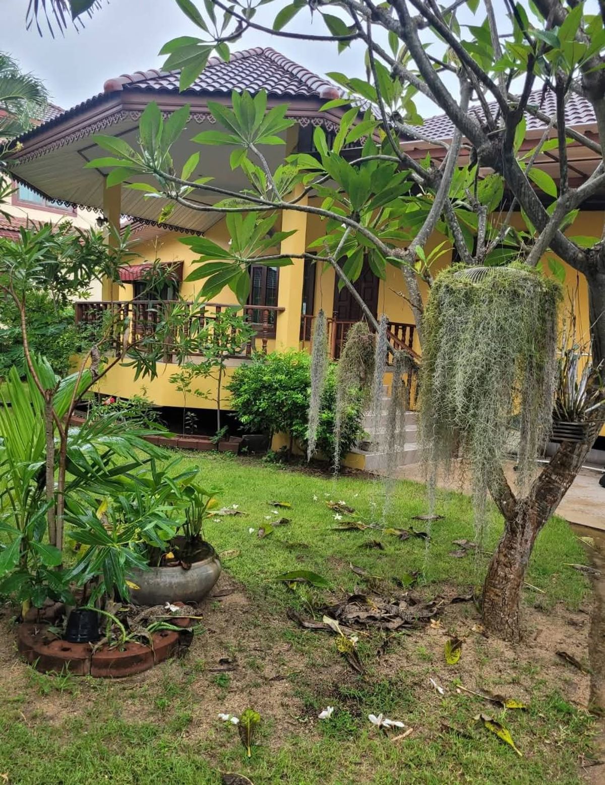 ขายที่ดินหัวหิน ประจวบคีรีขันธ์ : ขายบ้าน One Village สไตล์รีสอร์ท 5 หลัง ที่ดิน 6-3-67 ไร่ หัวหิน อ.เมือง จ. ประจวบฯ ราคาคุ้มมาก