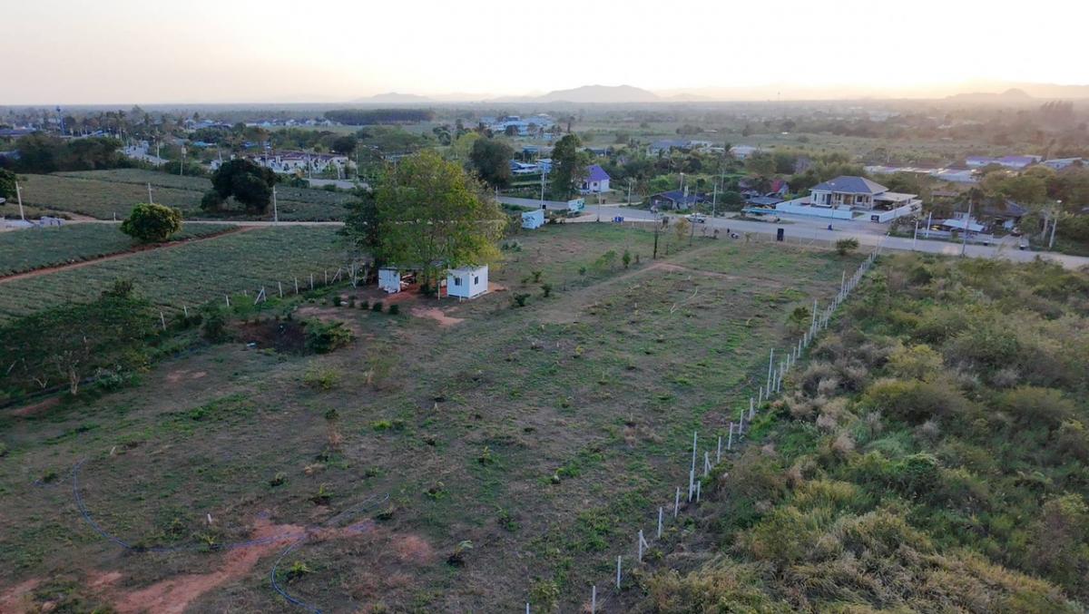 For SaleLandHuahin, Prachuap Khiri Khan, Pran Buri : The land on the hill, the water does not flood Hua Hin 105, the sea. The view is very beautiful.