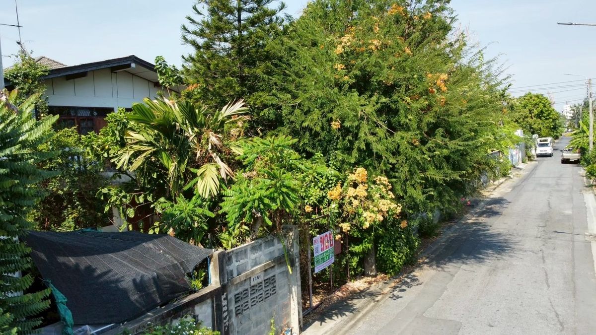 ขายที่ดินนวมินทร์ รามอินทรา : ขายที่ดิน แถมบ้าน 98 ตารางวา ซอย รามอินทรา 8 แยก 3 เชื่อมต่อ มัยลาภ หรือ รามอินทรา 14แยก8 สวยและถูก เพียง 4.99 ลบ.