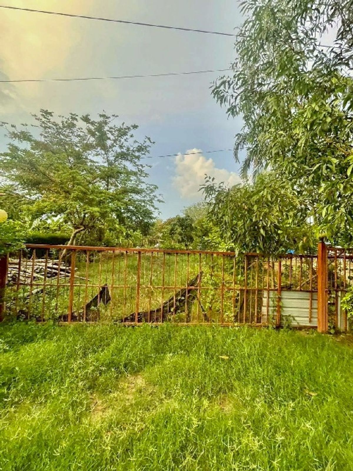 For SaleLandPathum Thani,Rangsit, Thammasat : Land for sale, Nong Suea Khlong 14, 1918, W. Rushed to use the money of Wat Prasitwet 4.2 km, next to the public road.
