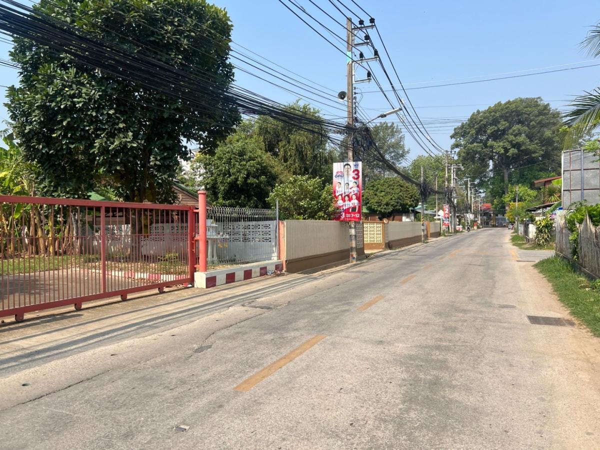 ขายที่ดินเชียงใหม่ : 📣 ขายที่ดินพัฒนาแล้วกลางเมืองเชียงใหม่ - ย่านวัดเมืองกาย