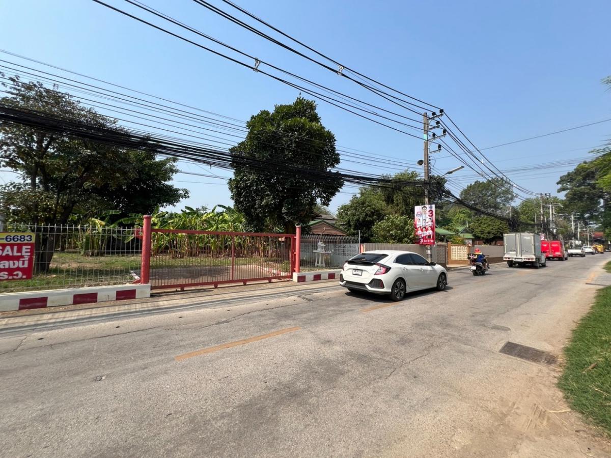 ขายที่ดินเชียงใหม่ : 📣 ขายที่ดินพัฒนาแล้วกลางเมืองเชียงใหม่ - ย่านวัดเมืองกาย