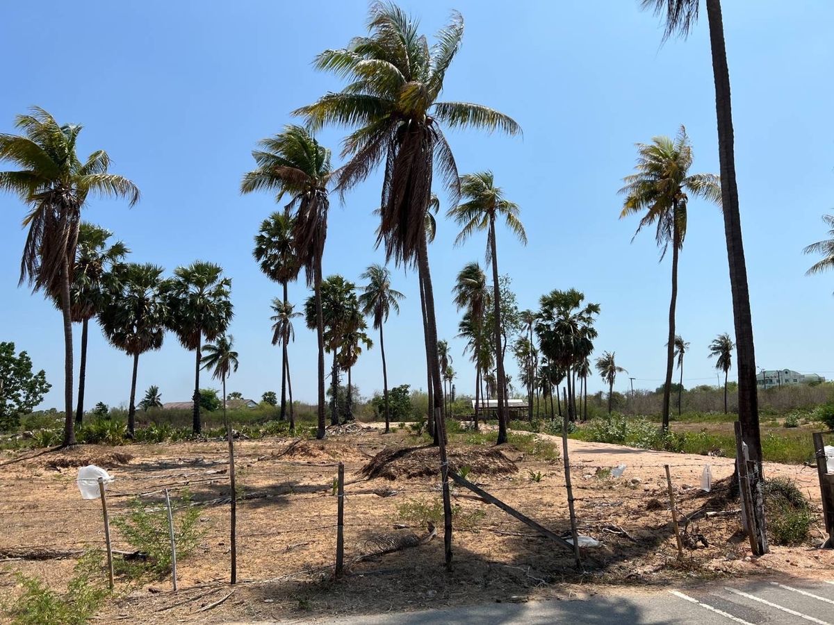 For SaleLandCha-am Phetchaburi : Land for sale, area of ​​3 rai.
