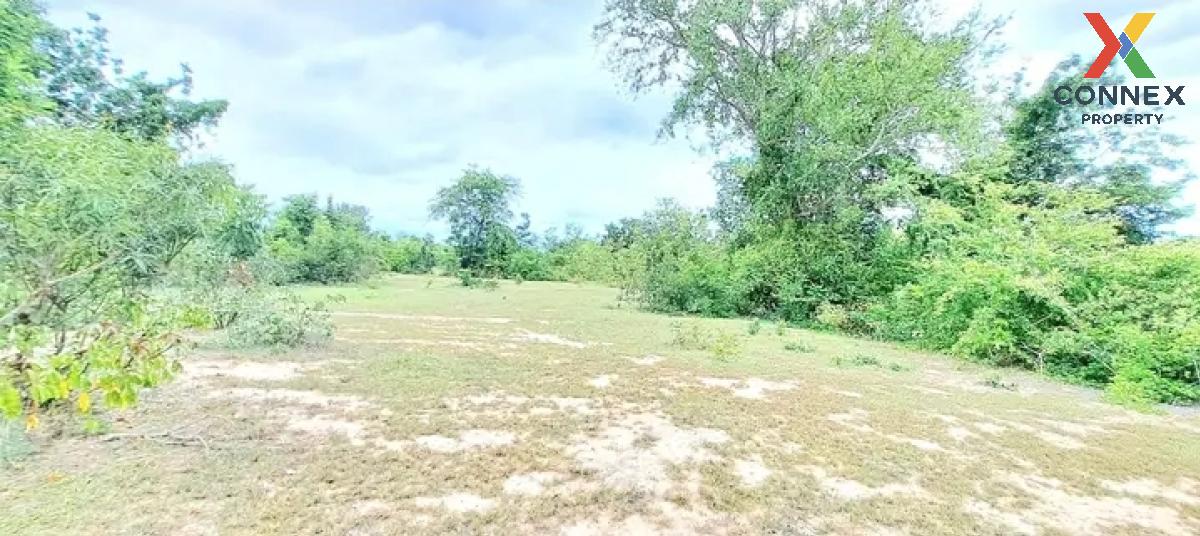 For SaleLandHuahin, Prachuap Khiri Khan, Pran Buri : For Sale Land , Thap Tai , Hua Hin , Prachuap Khiri Khan , CX-120222