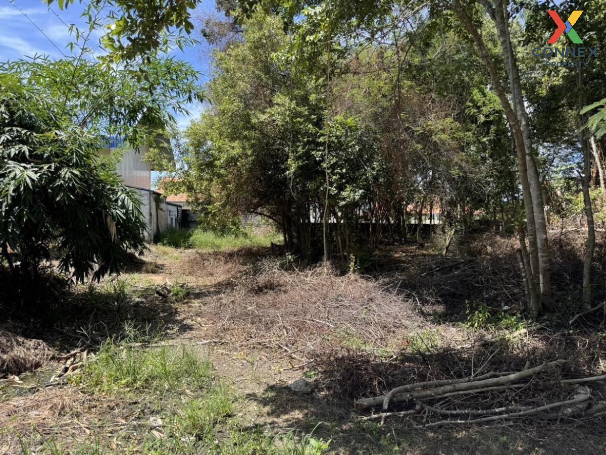 For SaleLandHuahin, Prachuap Khiri Khan, Pran Buri : For Sale Vacant land Hua Hin , Hua Hin , Hua Hin , Prachuap Khiri Khan , CX-120645