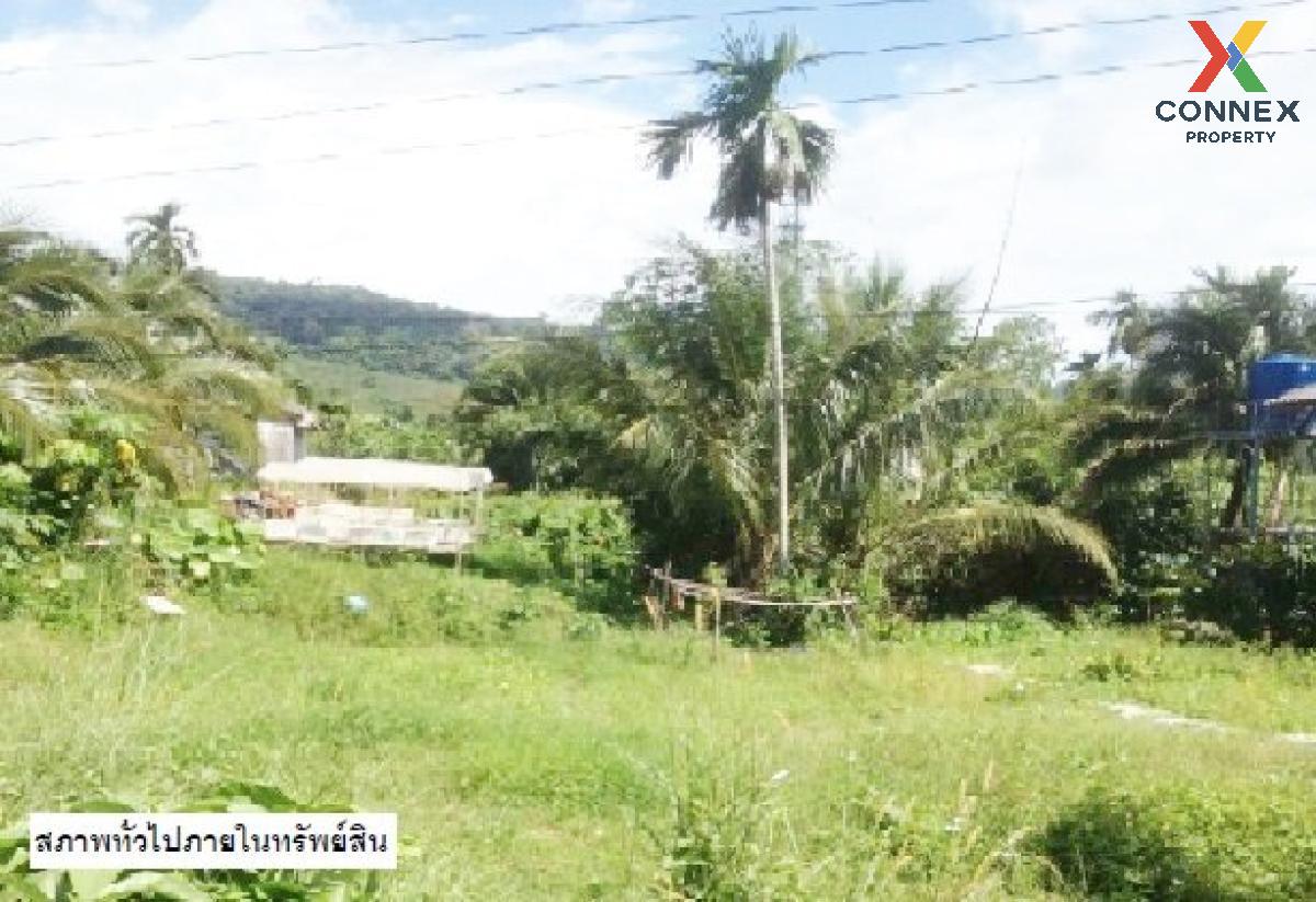 For SaleLandKrabi : For Sale land 48 square wah Koh Lanta Krabi , Ko Lanta Yai , Ko Lanta , Krabi , CX-120325